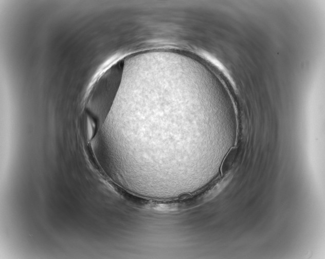 X0000084601365200703161810