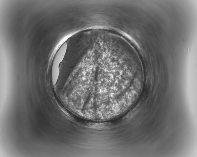 X0000084601367200703161810