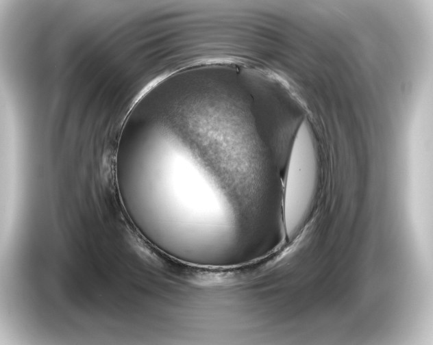 X0000084601369200703161810