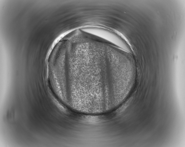 X0000084601371200703161810