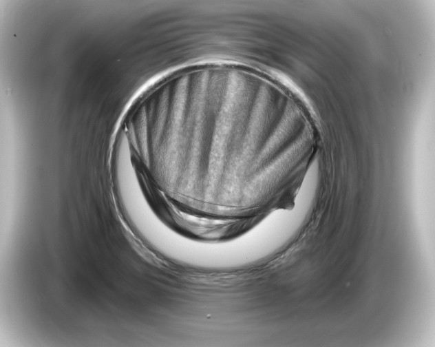 X0000084601372200703161810