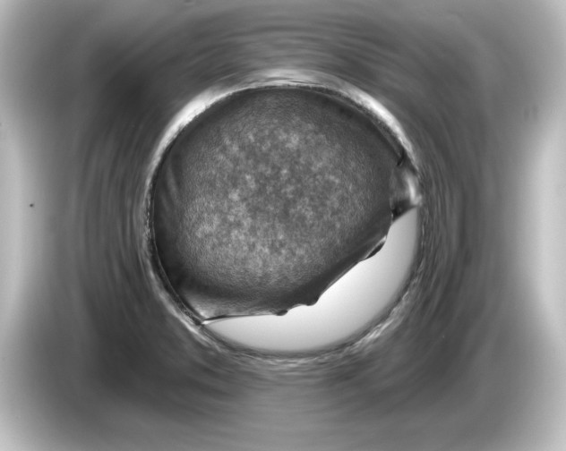 X0000084601373200703161810