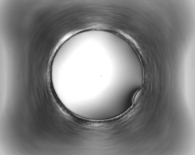 X0000084601375200703161810