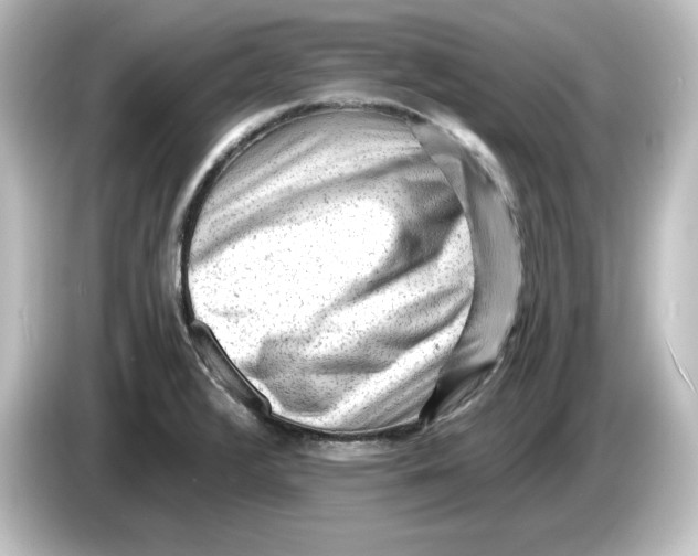 X0000084601376200703161810