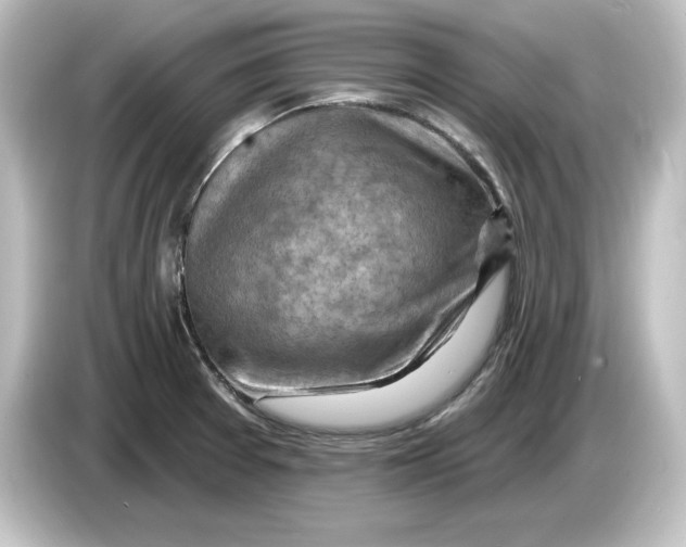 X0000084601377200703161810