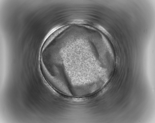 X0000084601378200703161810