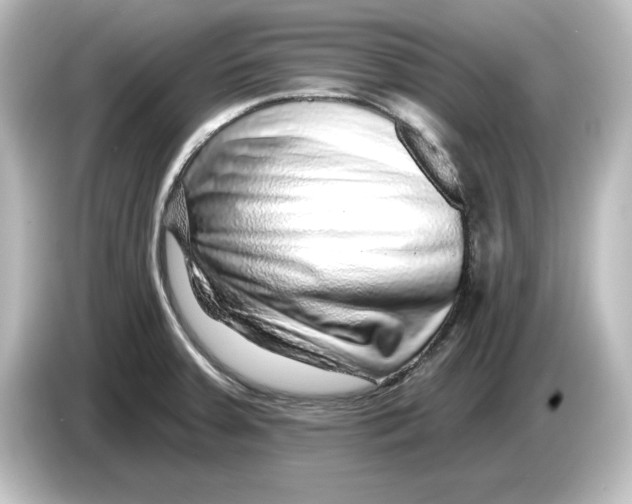 X0000084601379200703161810