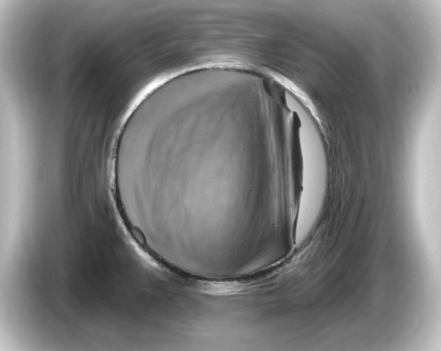 X0000084601383200703161810