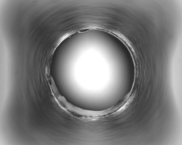 X0000084601385200703161810