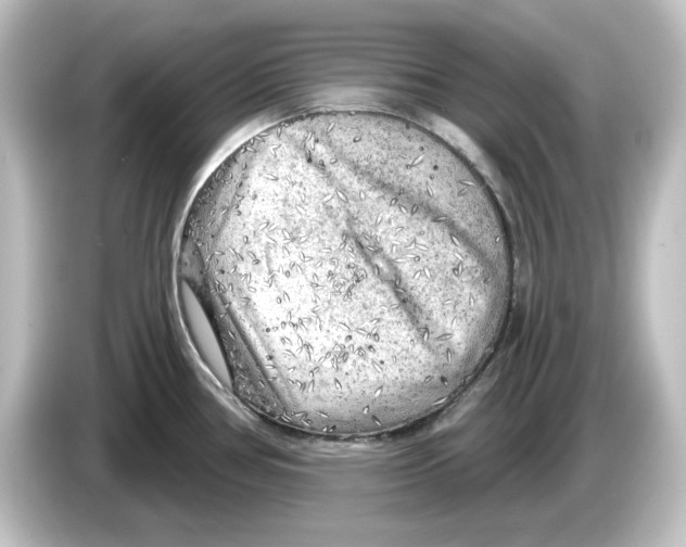 X0000084601386200703161810