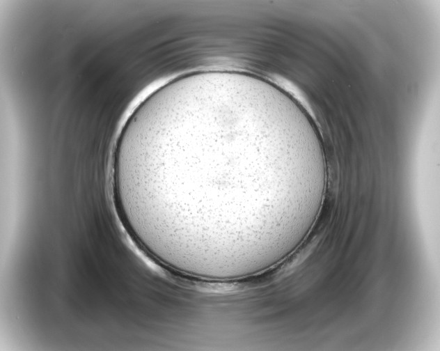 X0000084601387200703161810