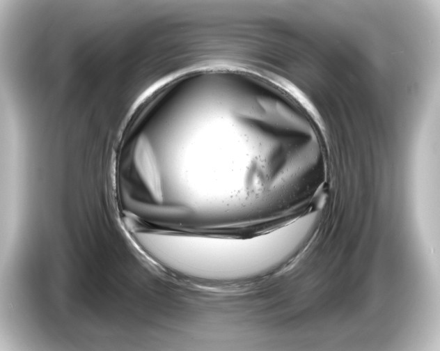 X0000084601388200703161810