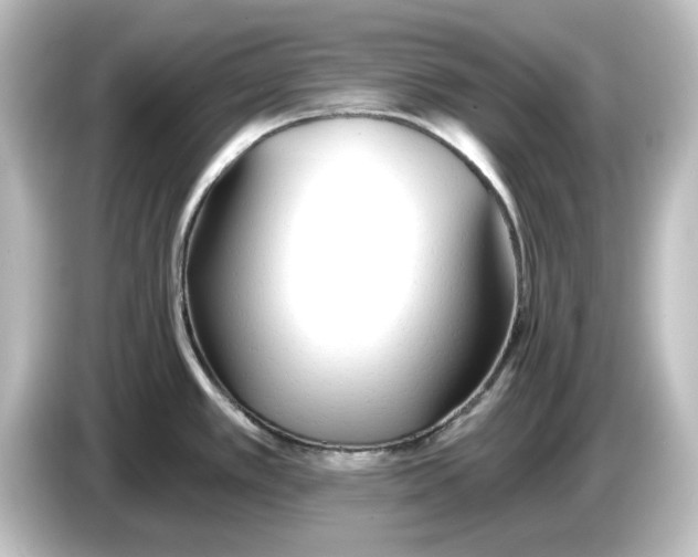 X0000084601389200703161810