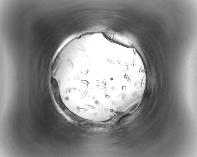 X0000084601390200703161810