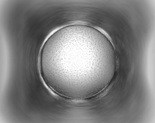 X0000084601391200703161810