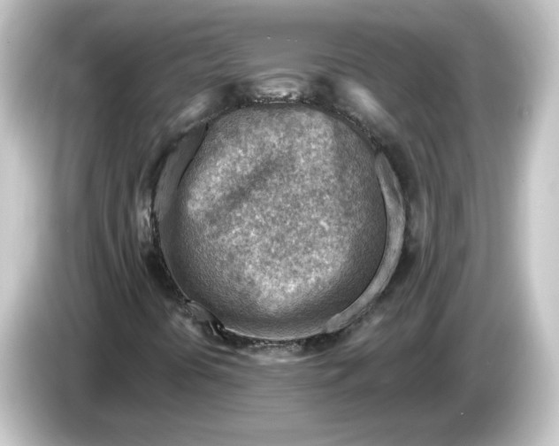 X0000084601394200703161809