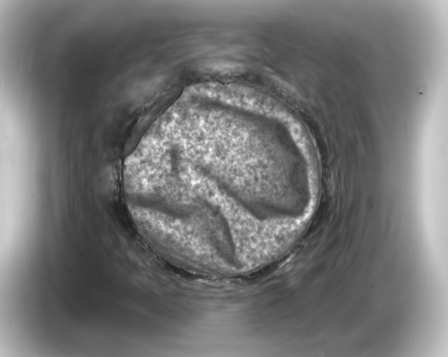 X0000084601397200703161809