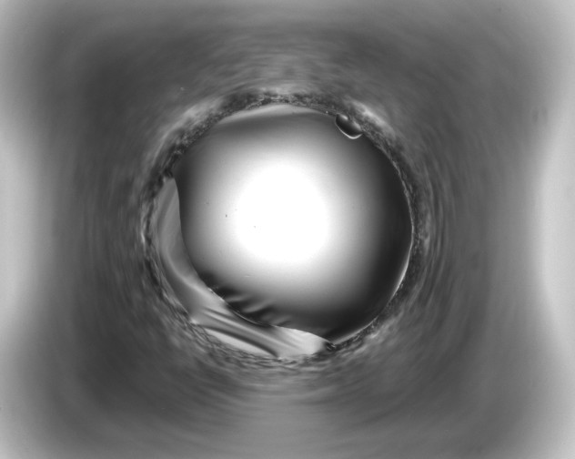 X0000084601398200703161809