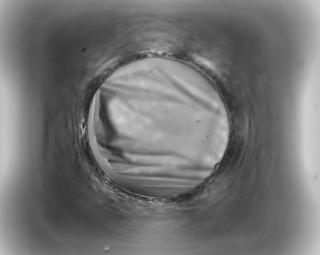 X0000084601399200703161809