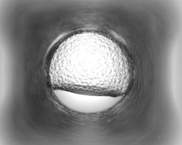 X0000084601400200703161809