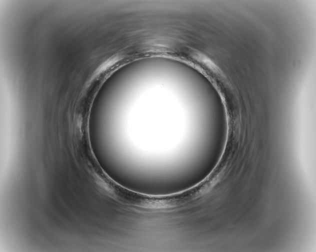 X0000084601402200703161810