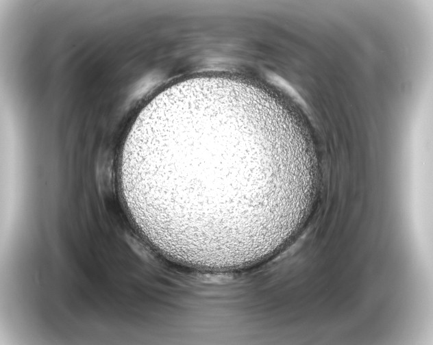 X0000084601403200703161810