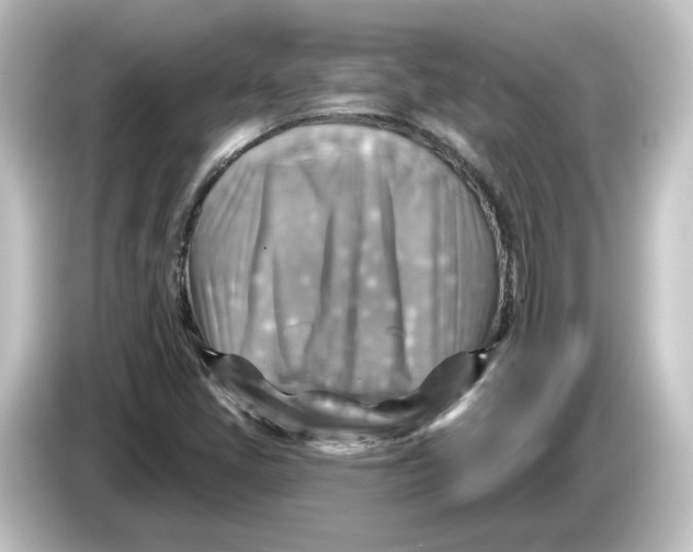 X0000084601405200703161810