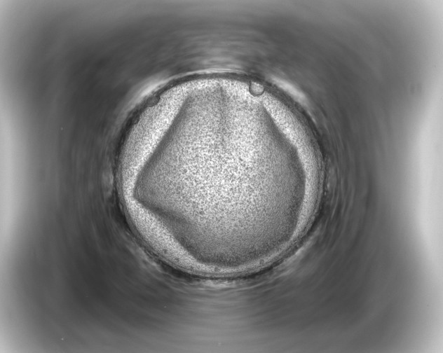 X0000084601407200703161810