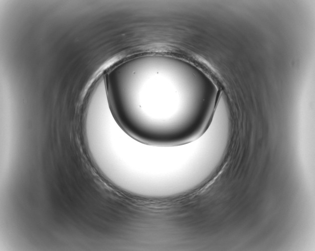 X0000084601410200703161810