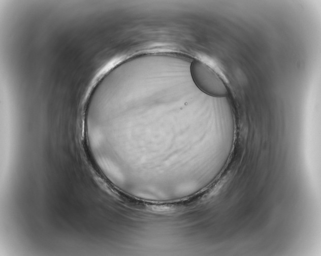 X0000084601413200703161810