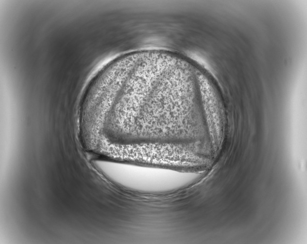 X0000084601415200703161810