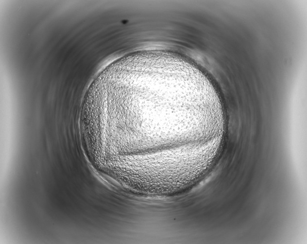 X0000084601417200703161810