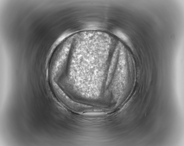 X0000084601419200703161810