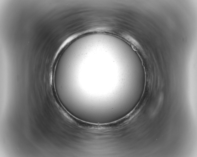 X0000084601420200703161810