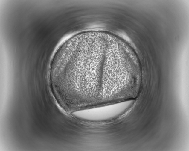 X0000084601421200703161810