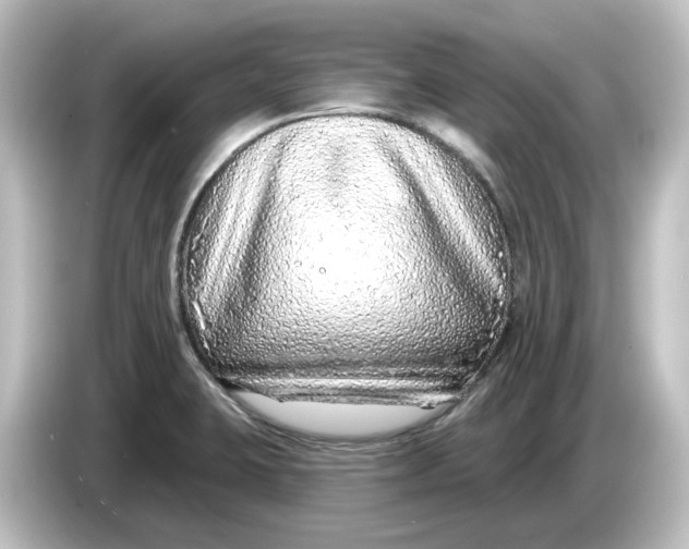 X0000084601423200703161810