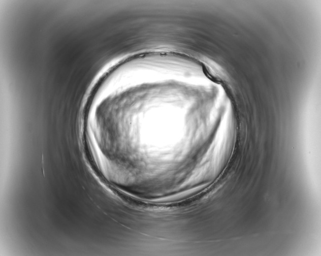 X0000084601424200703161810