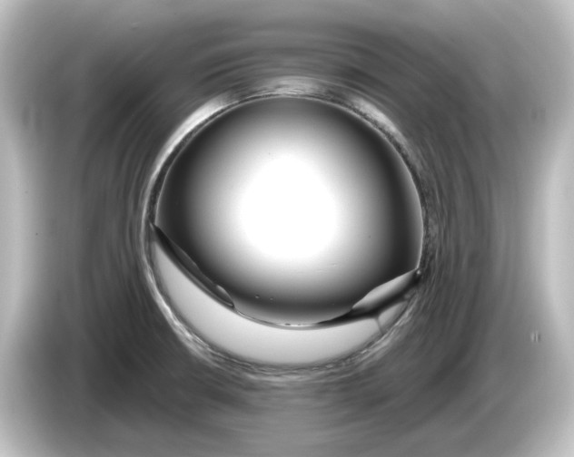 X0000084601426200703161810