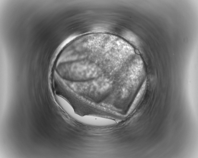 X0000084601427200703161810