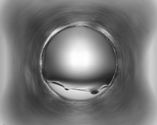 X0000084601428200703161810