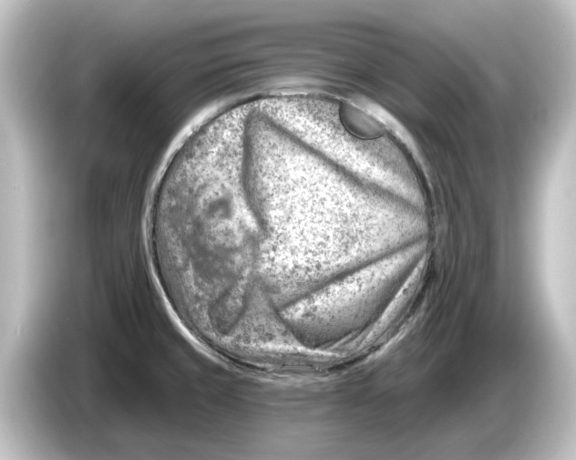 X0000084601429200703161810