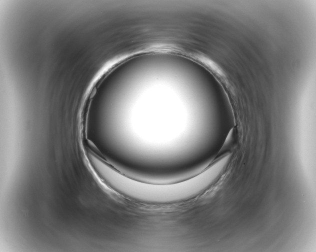 X0000084601430200703161810