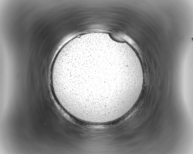 X0000084601431200703161810