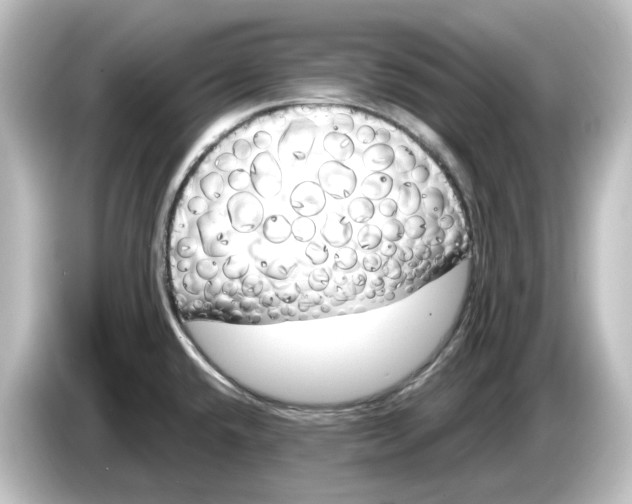 X0000084601432200703161810