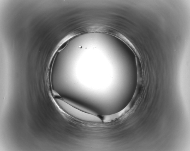 X0000084601434200703161810