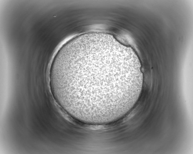 X0000084601435200703161810