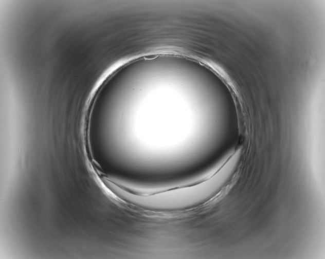 X0000084601438200703161810