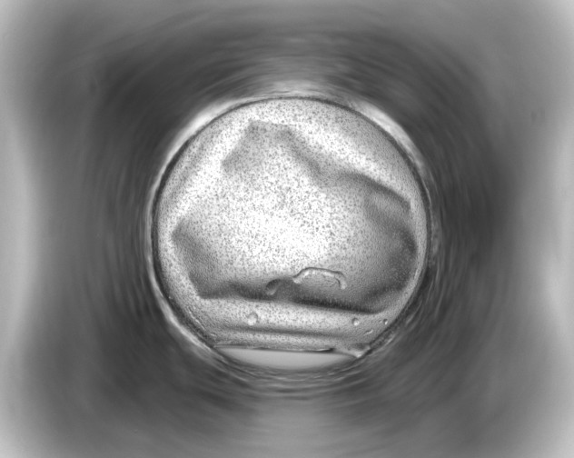 X0000084601439200703161810