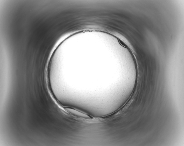 X0000084601440200703161810