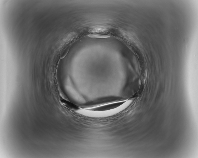 X0000084601441200703161809